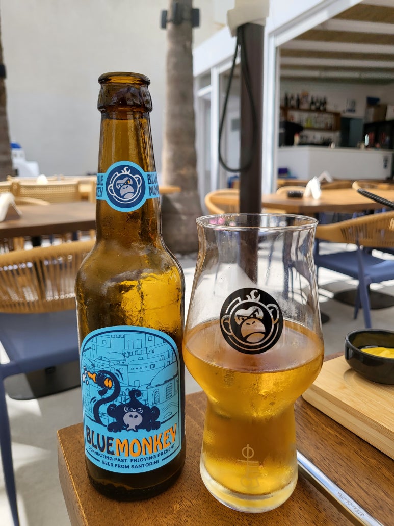 블루몽키(BLUE MONKEY) 이미지