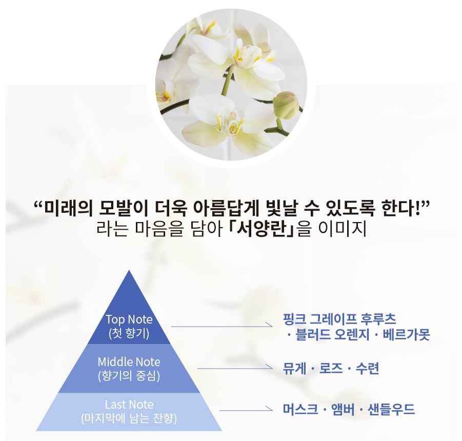 미안헤어 이미지
