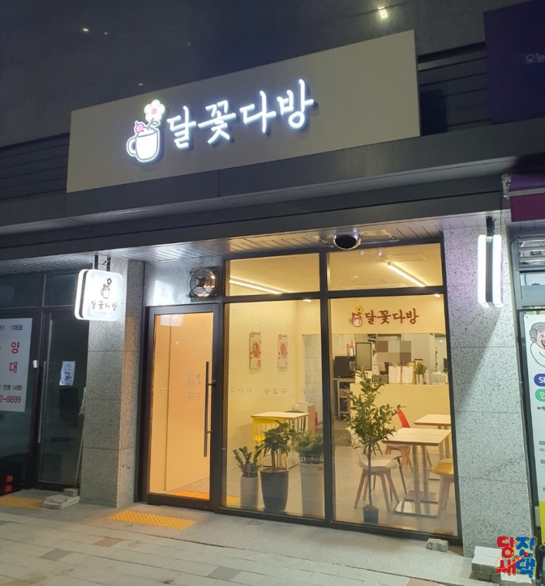 달꽃다방 이미지