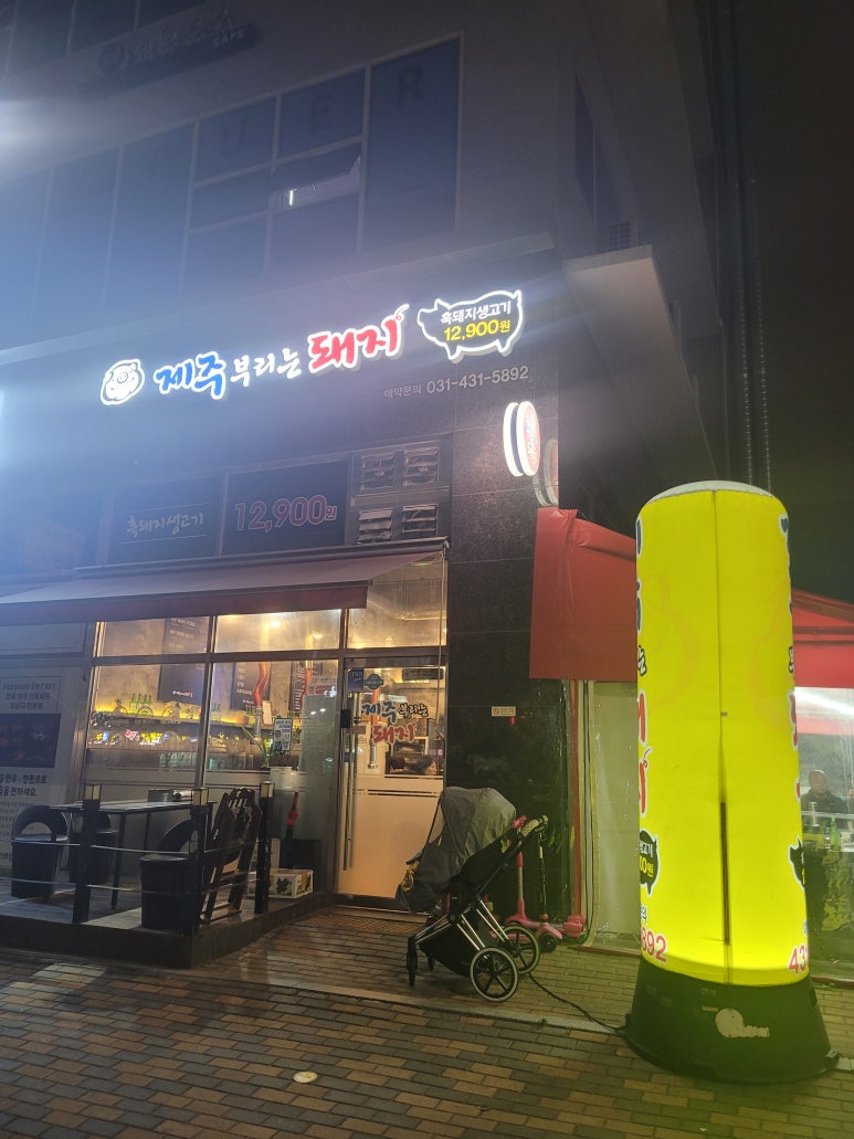 제주부리는돼지 이미지