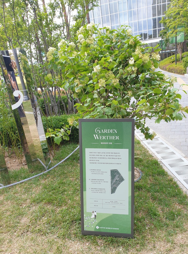 월드노래광장 이미지