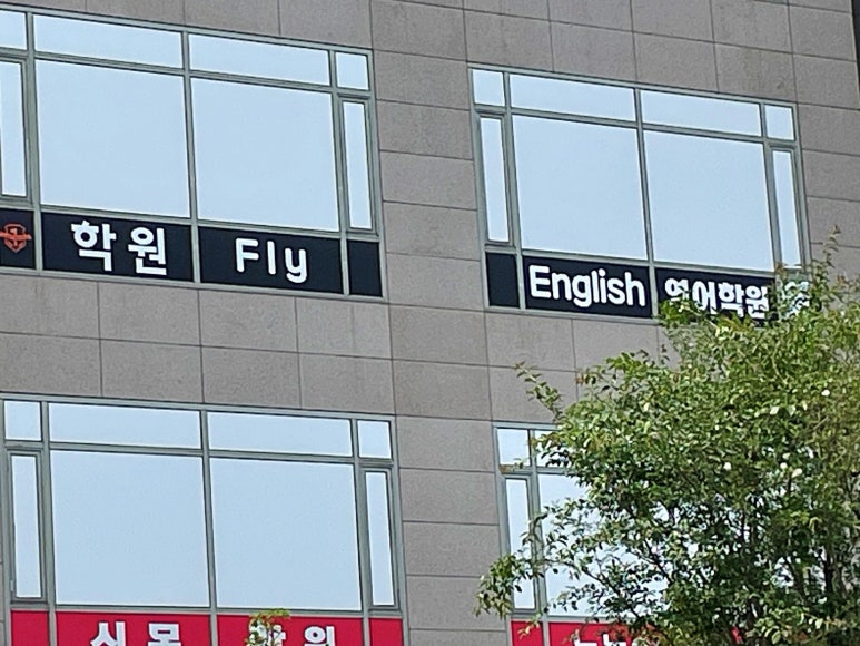 날아라영어 이미지