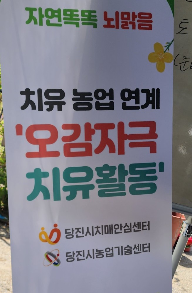 솔뫼석주원 이미지