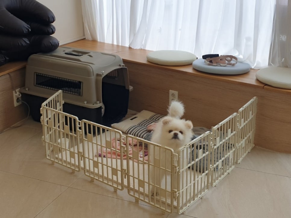살롱드폼비 이미지