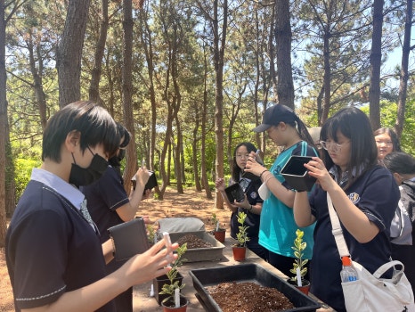 온양한올중학교 이미지