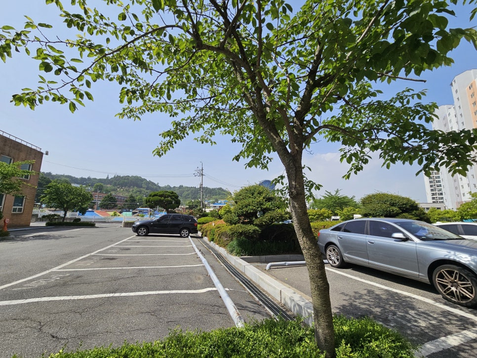 금광2어린이집 이미지