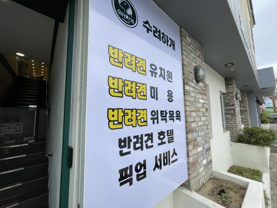 수려하개 이미지