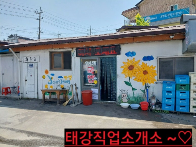 배꼽직업소개소 이미지