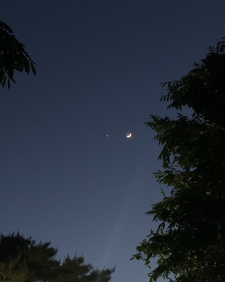별달 이미지