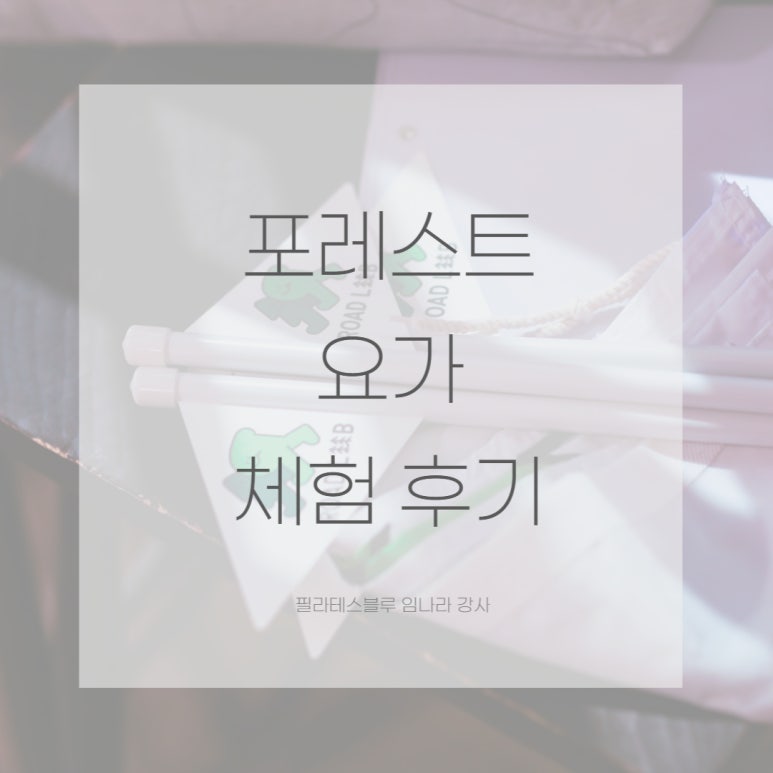 포레스트운동센터 이미지