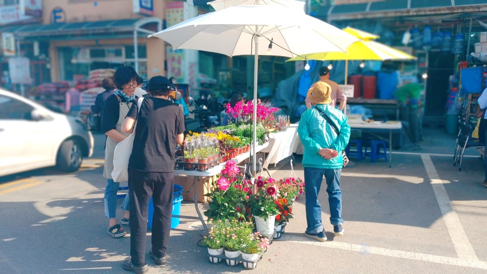 꽃피는산골협동조합 이미지