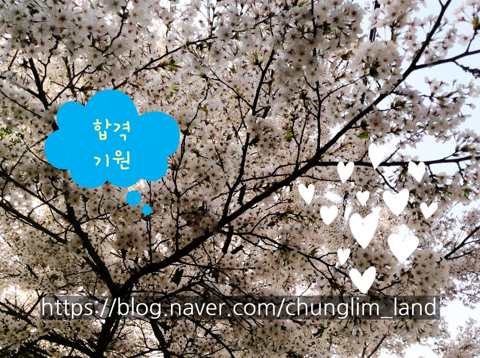 청림조경공사 이미지