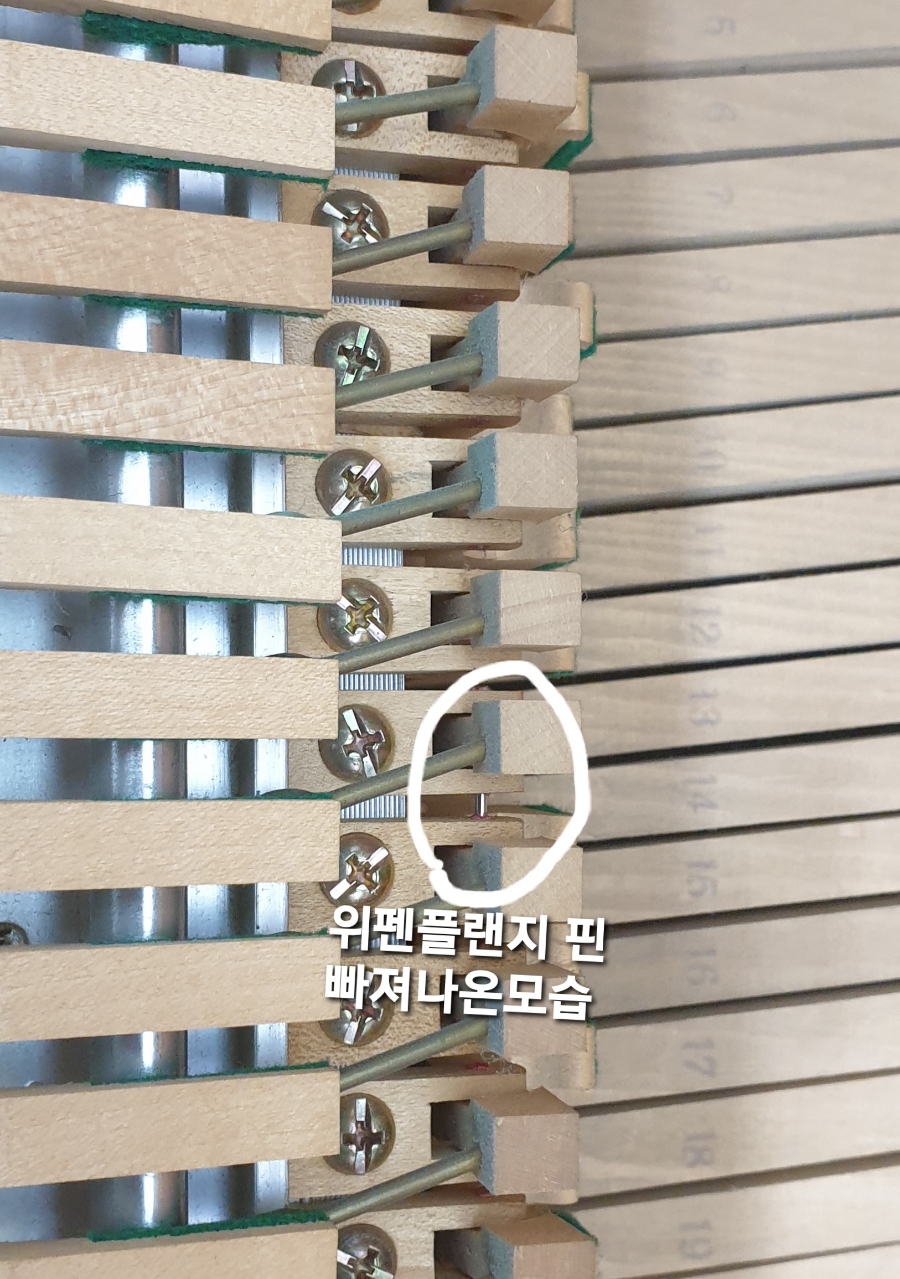 비발디피아노교습소 이미지