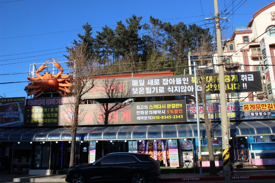 팔도대게 이미지