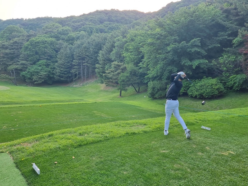 스카이옐로 이미지