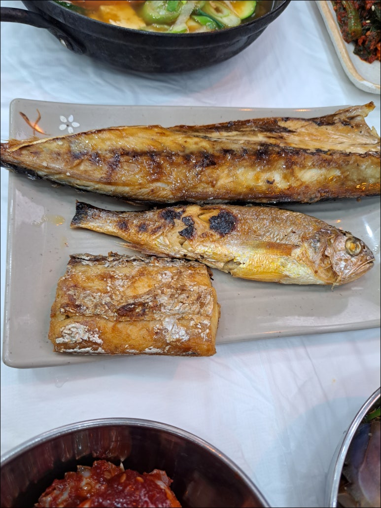 거북이 몰 이미지