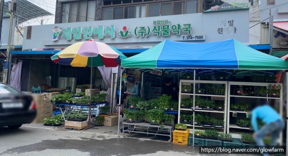 화순원예사 이미지
