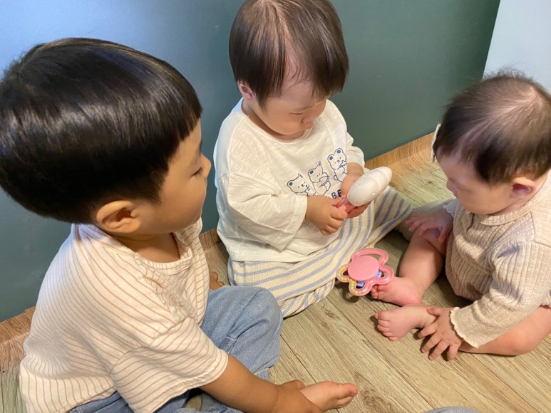 전통갈메기 이미지