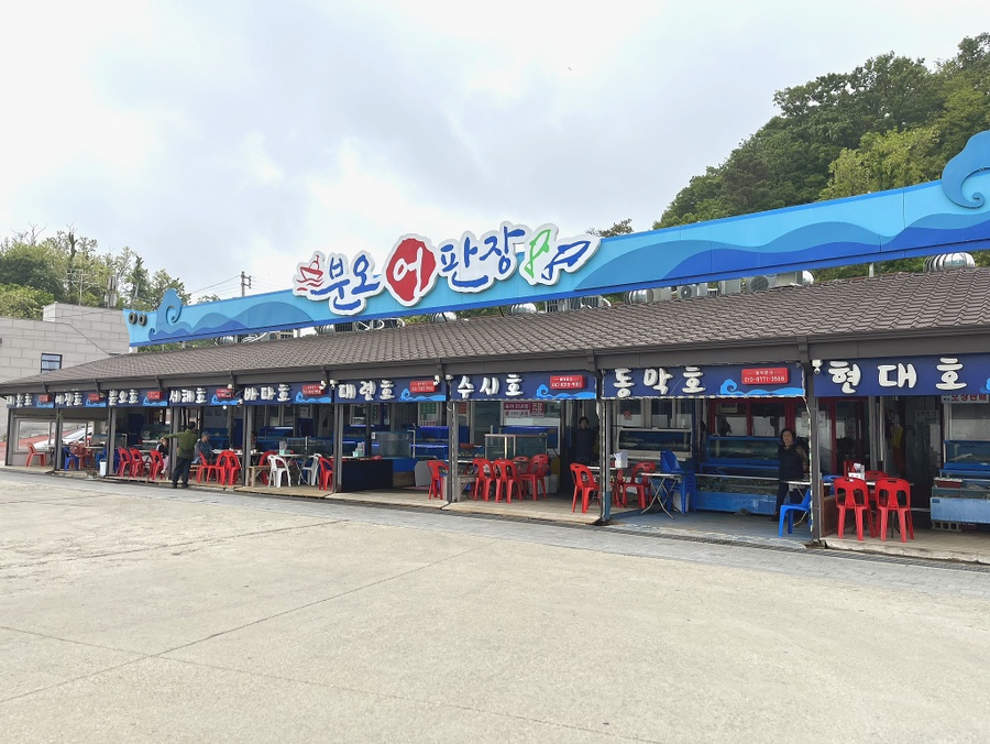 분오호 이미지