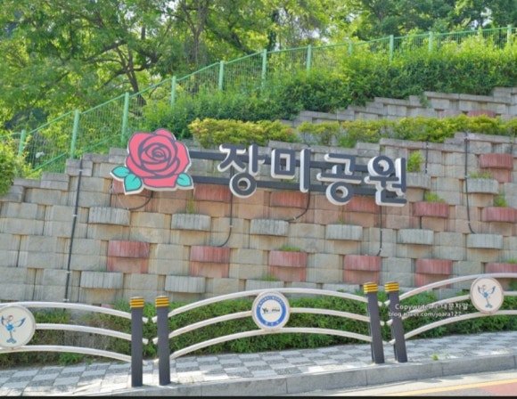 장미꽃핀집 이미지