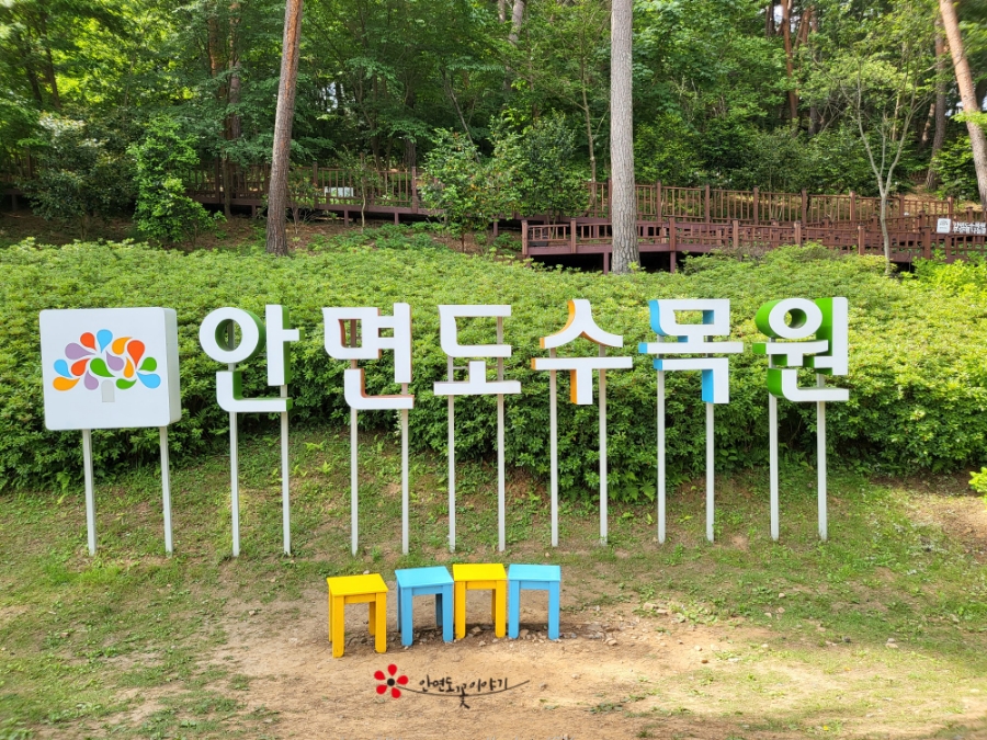 안면도꽃이야기 이미지