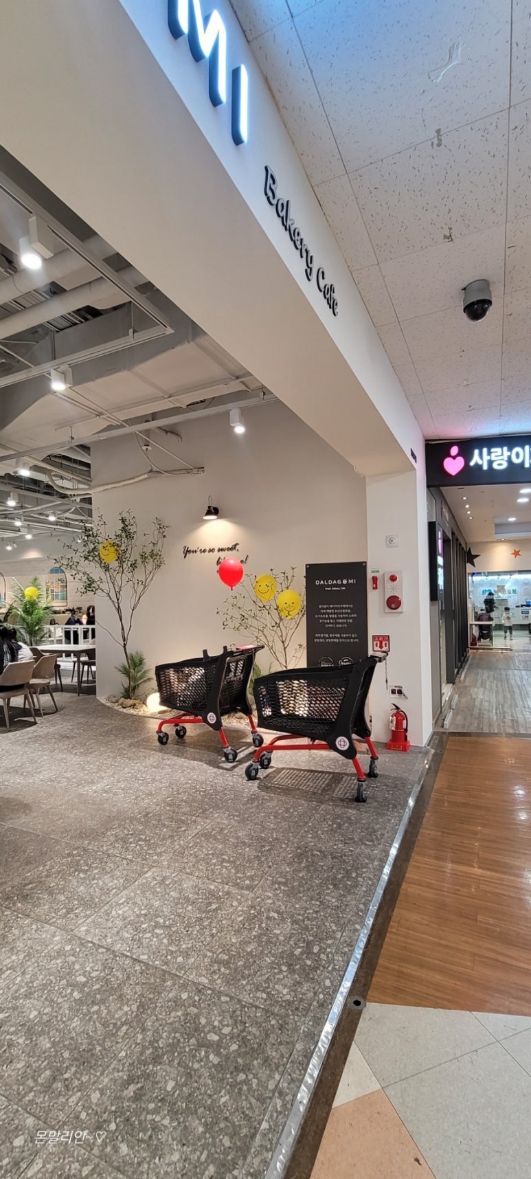 달다고미 이미지