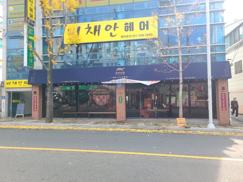 거북이동네부산 이미지