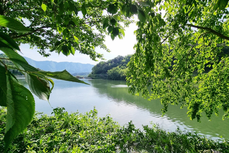 컴포즈커피산청 이미지