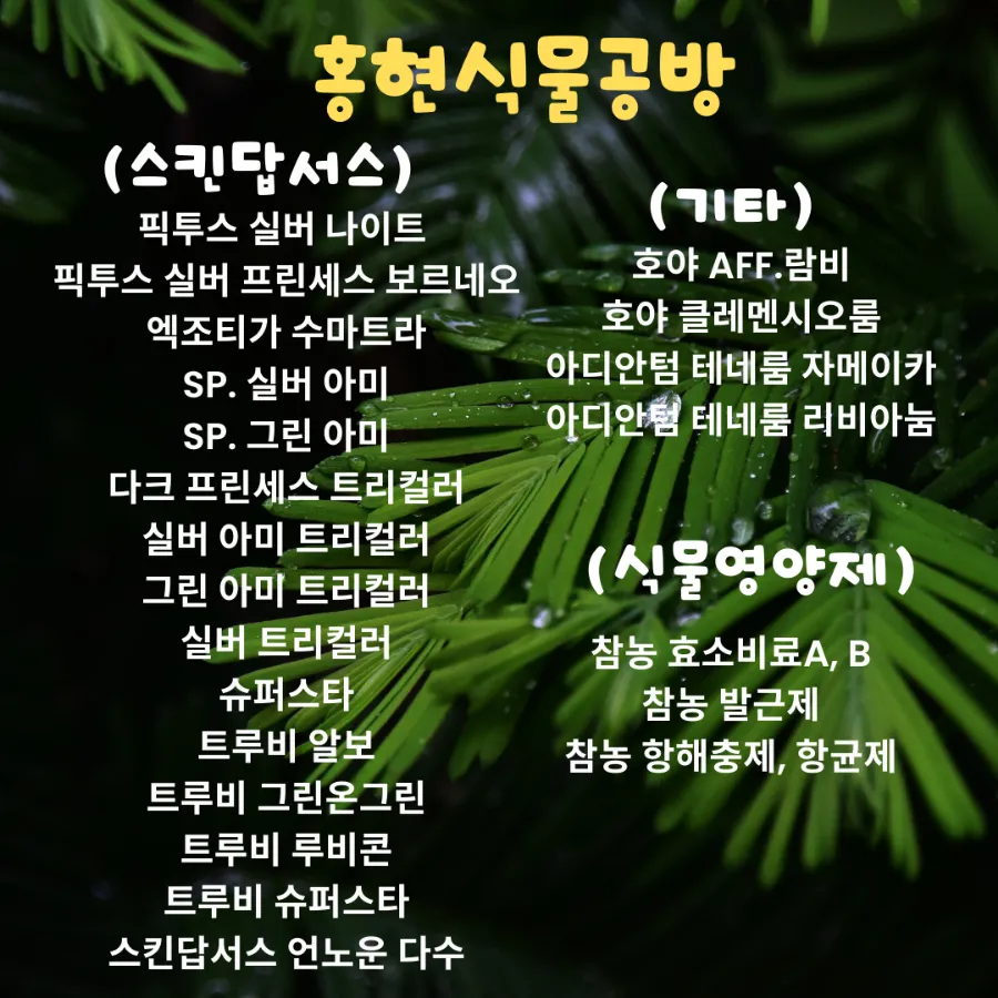 식물공방 이미지