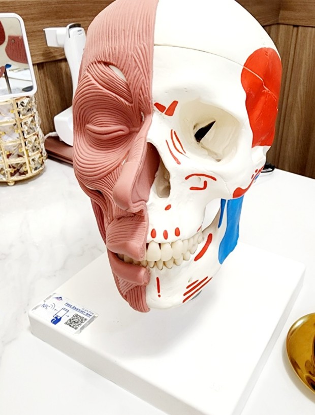 조이무브먼트 이미지