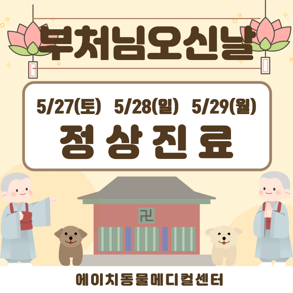 에이치메디컬 이미지