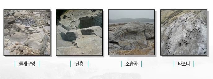 노루메기 이미지