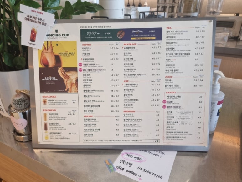 댄싱컵사상 이미지