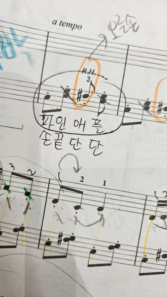 룩스피아노 이미지