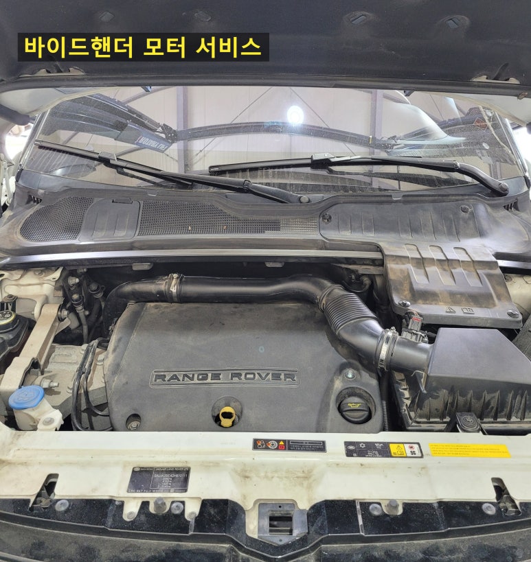 바이드핸더 이미지