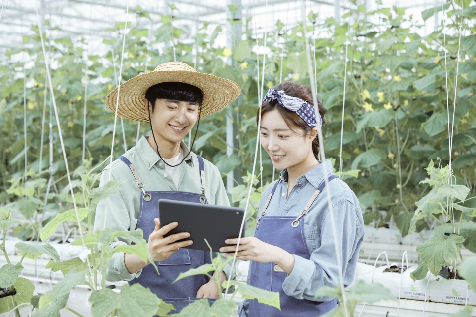 스마트잡 이미지