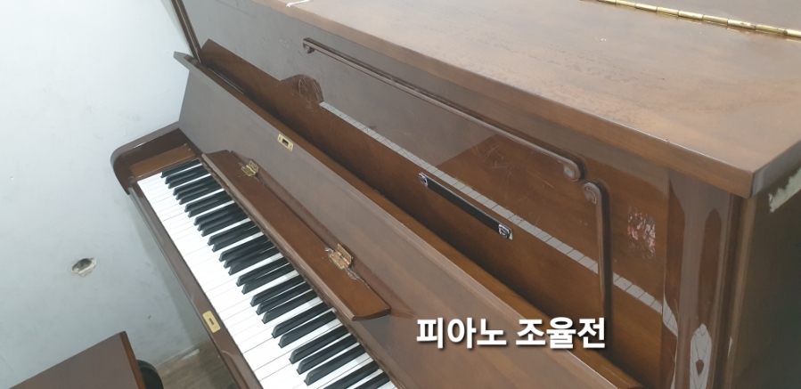 비발디피아노교습소 이미지