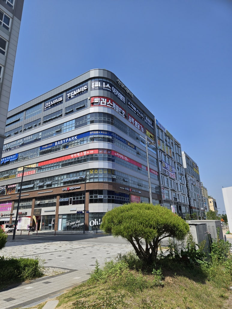 신영롤러스케이트장 이미지