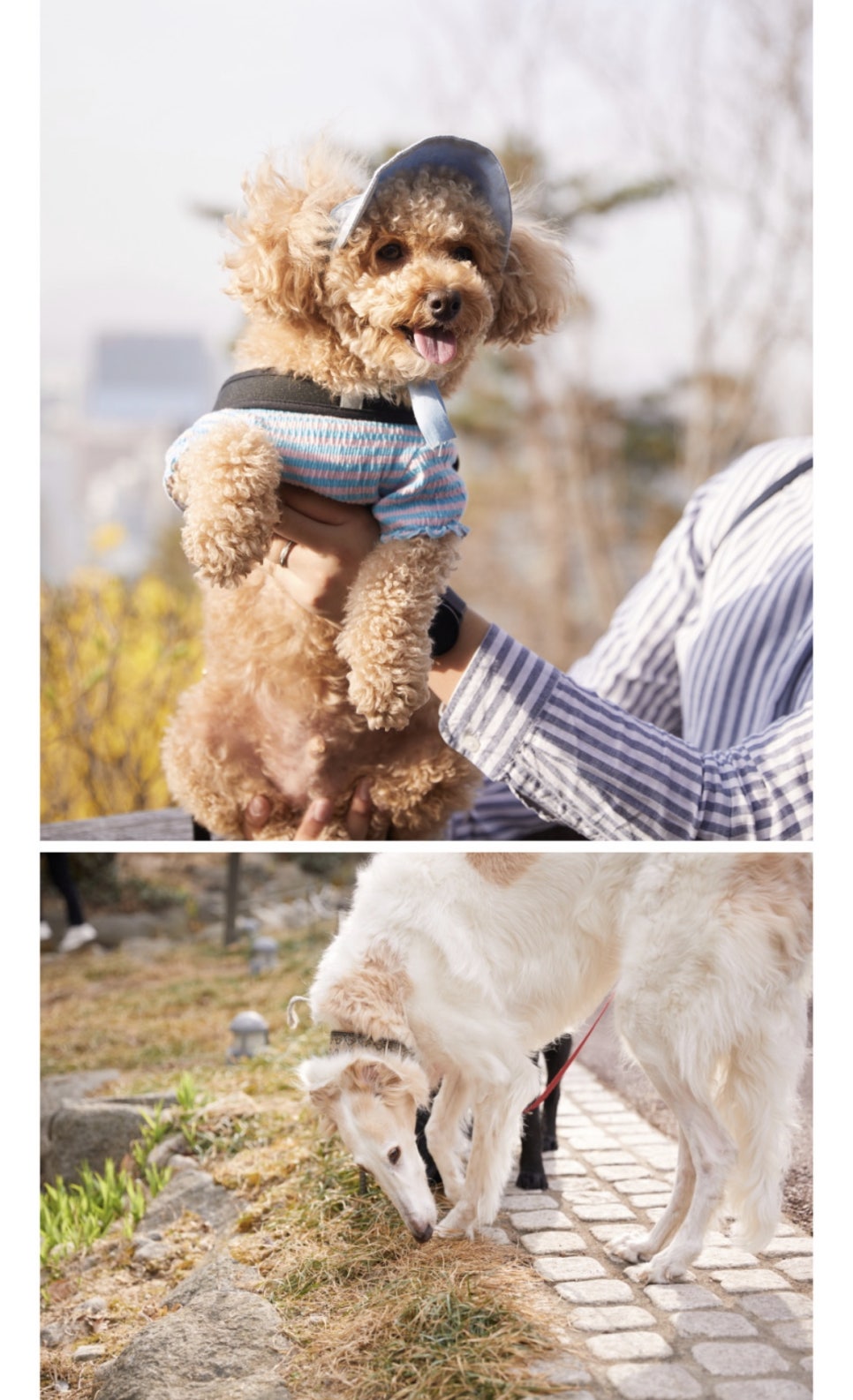 주식회사 산책 이미지