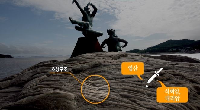 노루메기 이미지