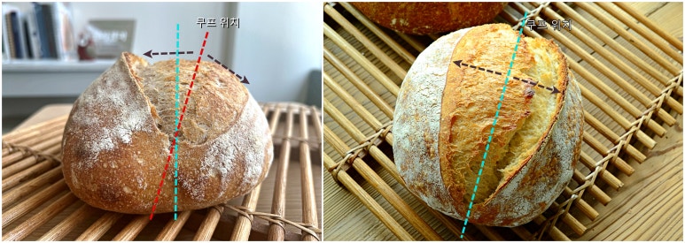 오븐스프링 이미지