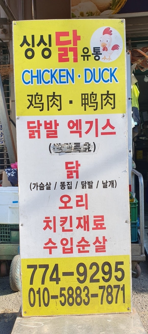 싱싱닭고기 이미지