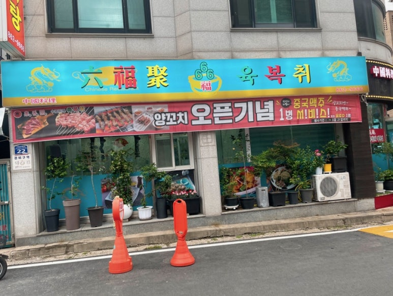 육복취 이미지