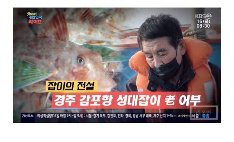 싱싱회타운 이미지
