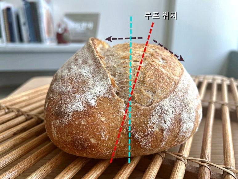 오븐스프링 이미지