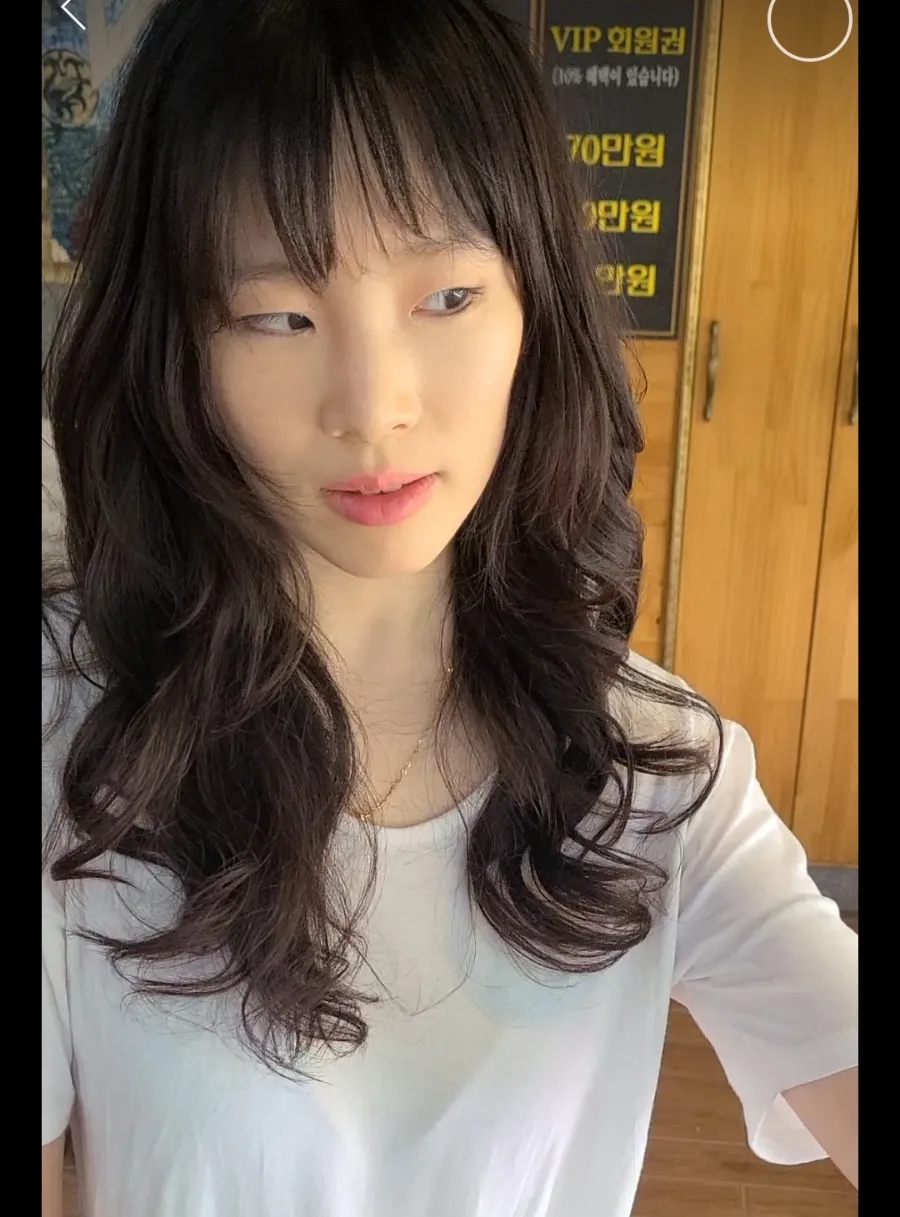 시저리 이미지