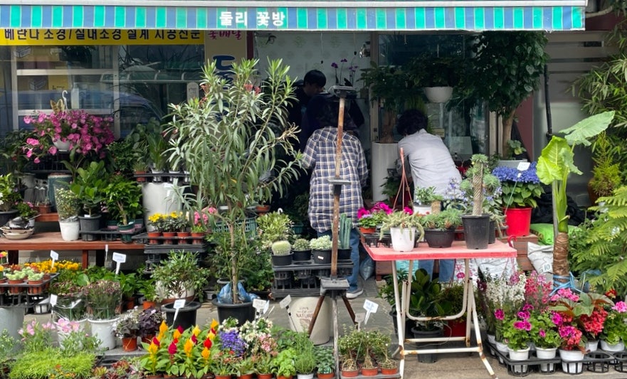 둘리꽃방 이미지