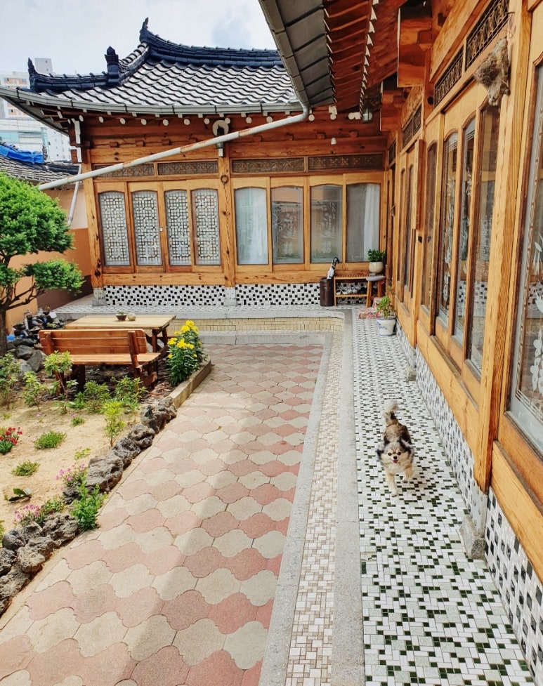 월영채 이미지