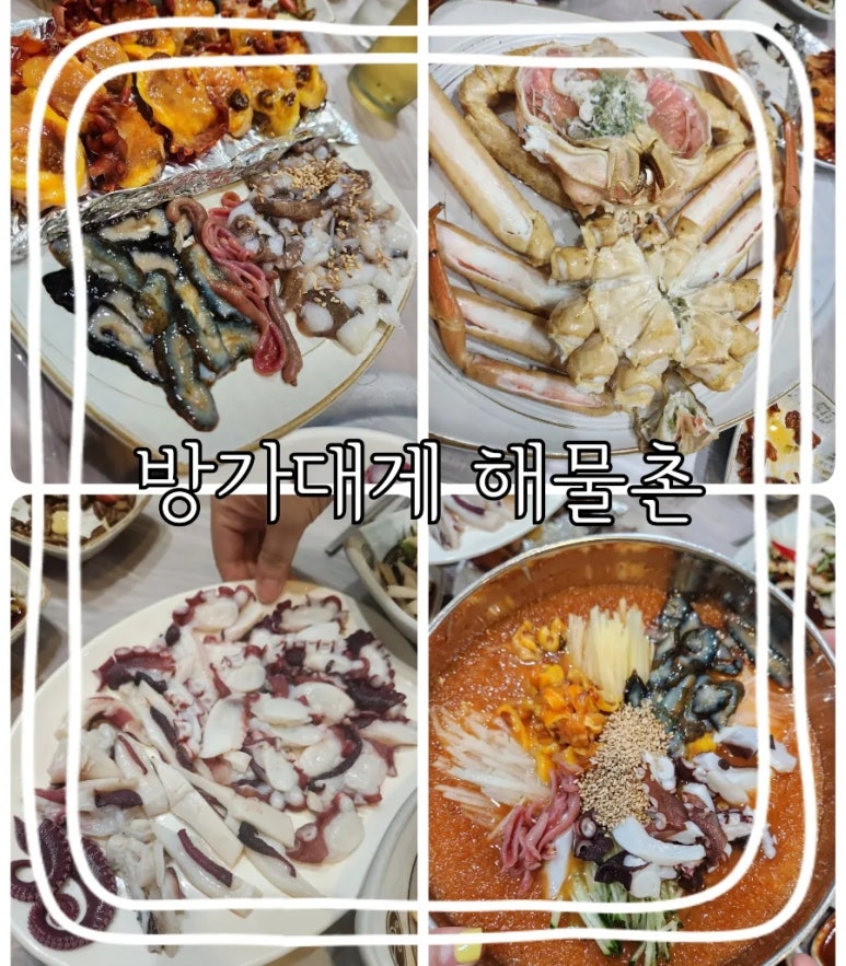 방가대게 이미지