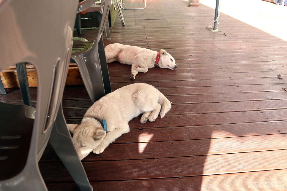 단양물레방아집 이미지